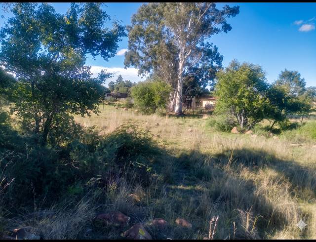 11,879M² VACANT LAND FOR SALE IN KOPPIES RURAL